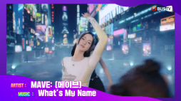 mv_메이브